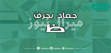 اسم جماد بحرف الظاء