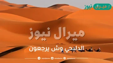 الدلبحي وش يرجعون