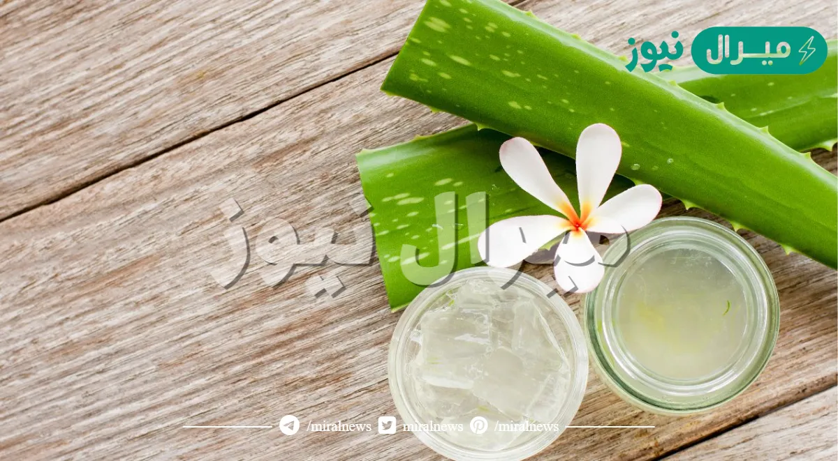 الفرق بين جل الصبار الاصلي والتقليد