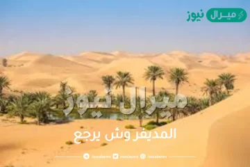 المديفر وش يرجع