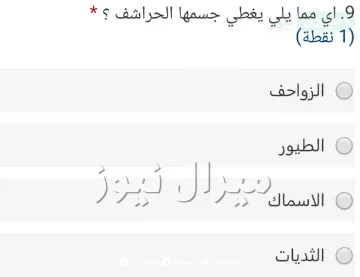 اي مما يلي يغطي جسمها الحراشف