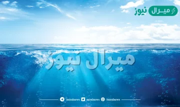 اين توجد اكبر نسبة من الماء