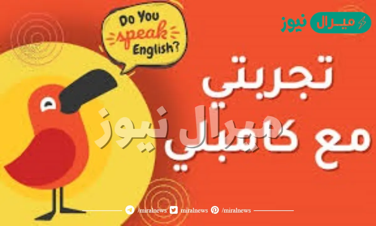 تجربتي مع كامبلي لغير الناطقين بالانجليزية بعد 4 اشهر | كيفية الاشتراك في كامبلي