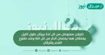 خليلان ممنوعان من كل لذة يبيتان طول الليل يعتنقان هما يمنعان الدار من كل افة وعند طلوع الفجر يفترقان