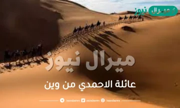 عائلة الاحمدي من وين