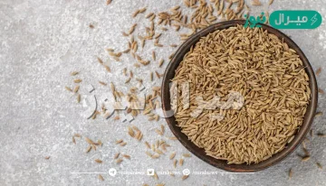 21 فائدة من فوائد الكمون الجمالية والصحية