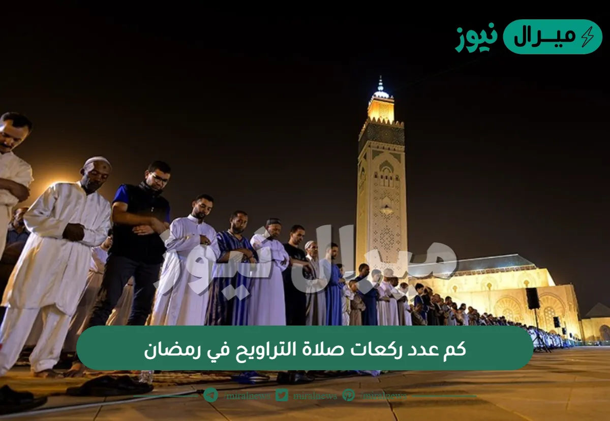 كم عدد ركعات صلاة التراويح في رمضان