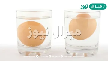 كيف اعرف البيض الفاسد