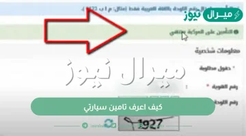 كيف اعرف تامين سيارتي