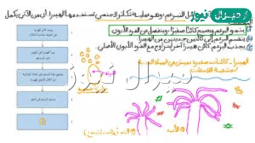 كيف تتكاثر الهيدرا ؟