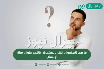 ما هما العضوان اللذان يستمران بالنمو طوال حياة الإنسان