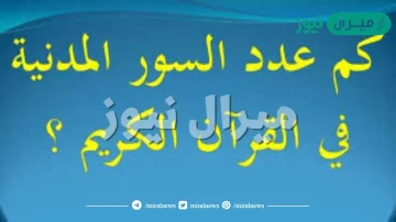 ما هو عدد السور المدنية