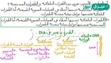 من العوامل التي تسبب الطفرات