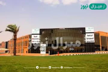 هل الدراسه في الجامعه السعوديه الالكترونيه صعبه؟