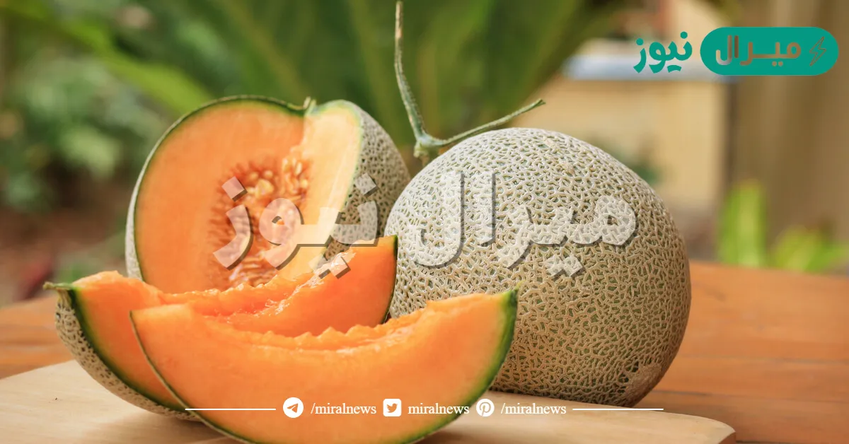هل الشمام يزيد الوزن