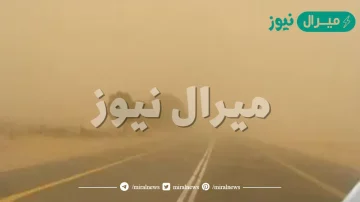 هل الغبار يقضي على الفايروسات