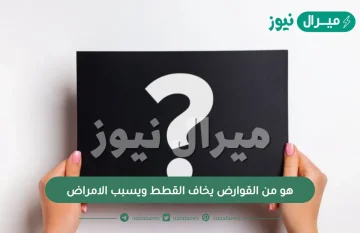 هو من القوارض يخاف القطط ويسبب الامراض