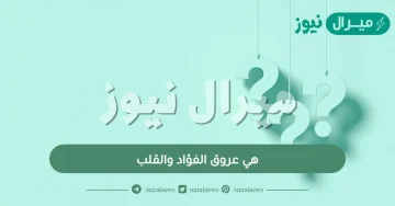 هي عروق الفؤاد والقلب