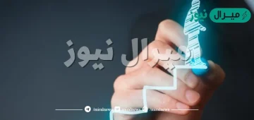 وفق دراسة جولمان عناصر التحفيز الذاتي