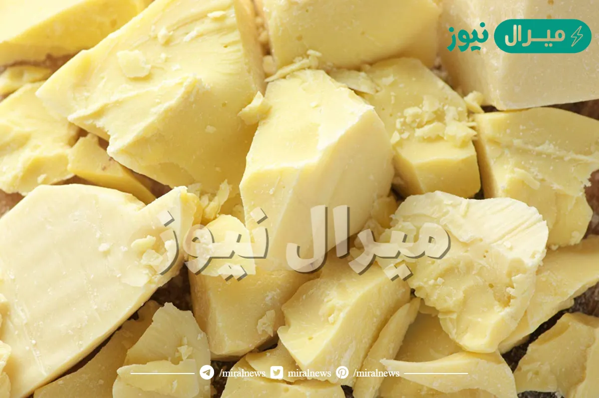 جربي الوصفة دي ومش هتشتريها تاني من برا.. أفضل ٣ وصفات لعمل زبدة الكاكاو في المنزل