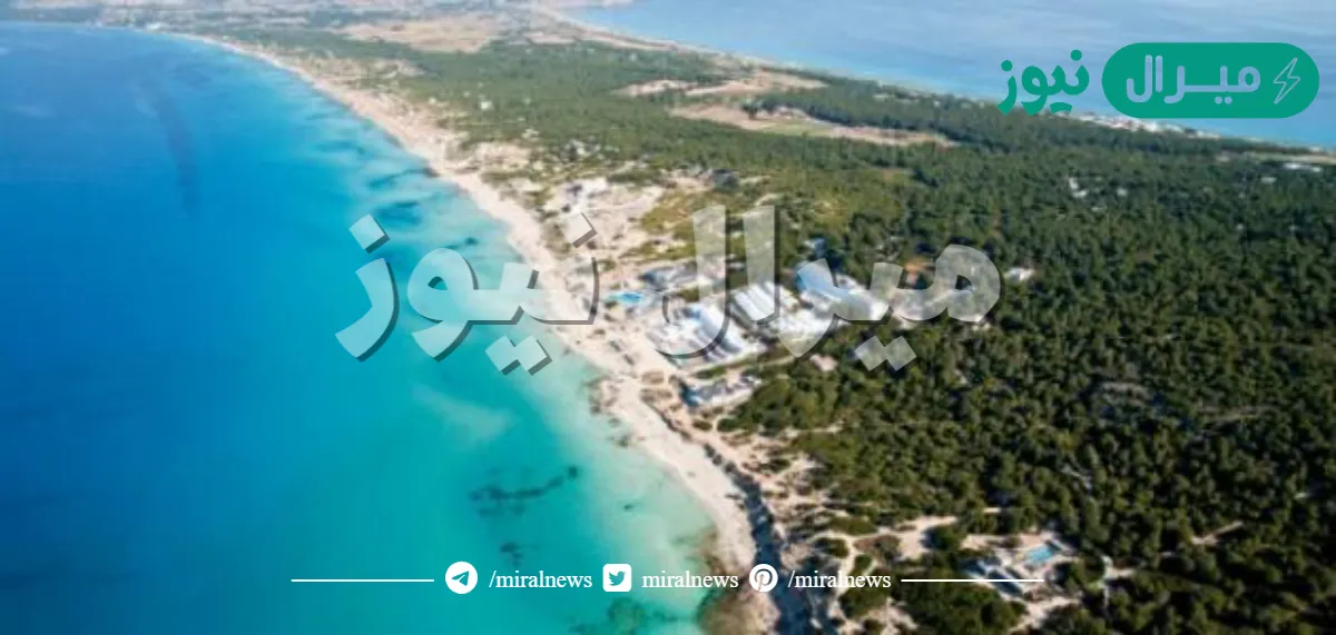 اكبر جزيرة في البحر المتوسط