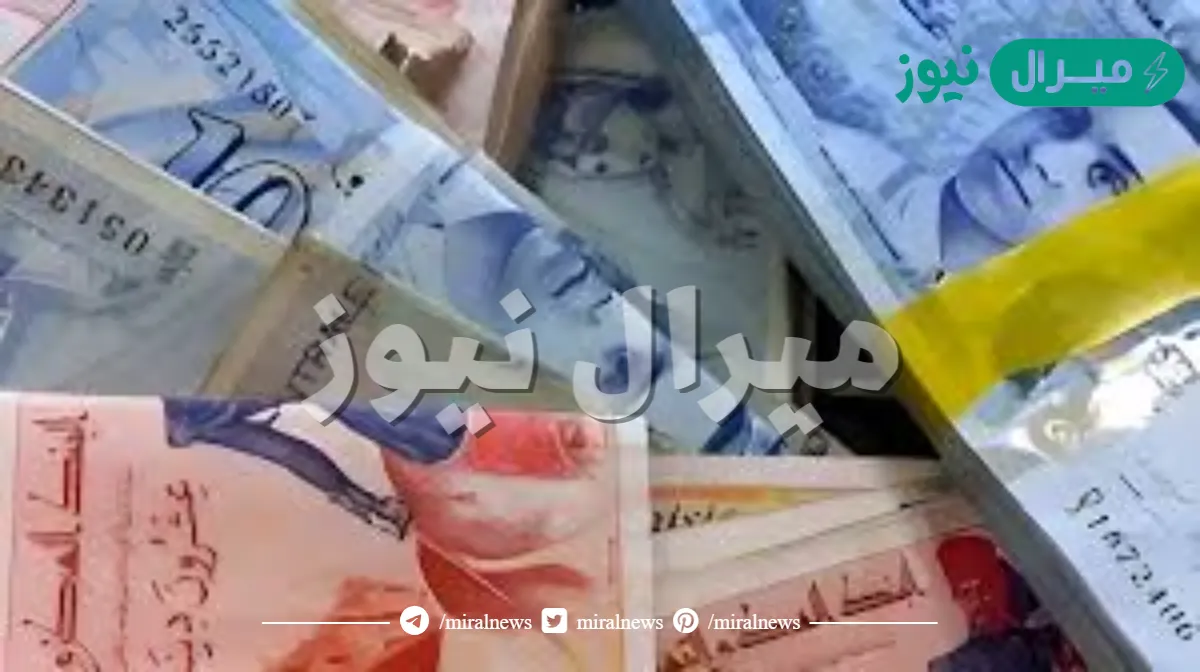 التسجيل فى منحة تونس 300 دينار.. الشئون الاجتماعية توضح