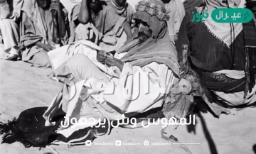 المهوس وش يرجعون