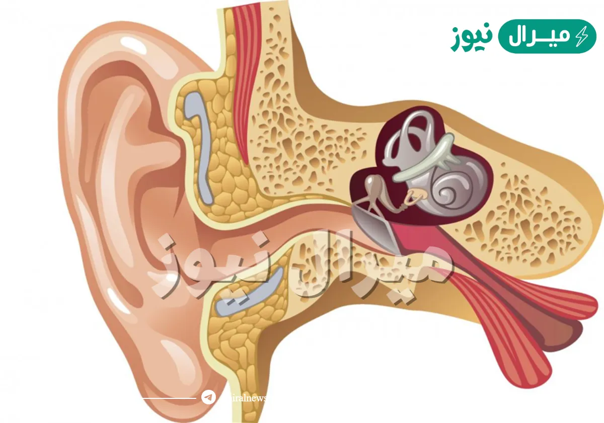 اين تقع قناة استاكيوس