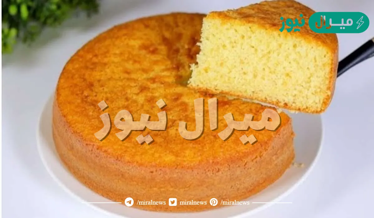 ببيضة واحدة قدمي لإسرتك ألذ كيكة هشة في الخلاط بتذوب في الفم