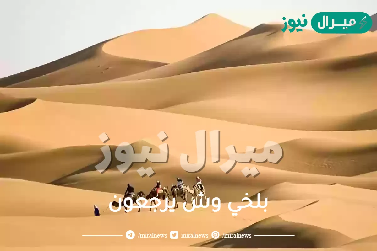 بلخي وش يرجعون