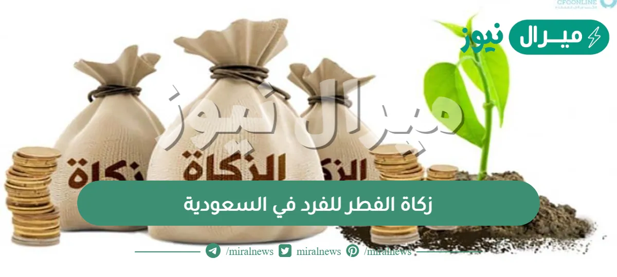 زكاة الفطر للفرد في السعودية