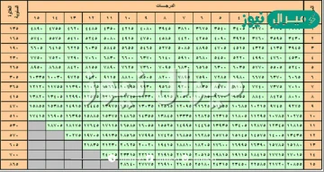 سلم رواتب الأمن العام