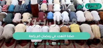 صلاة التهجد في رمضان كم ركعة