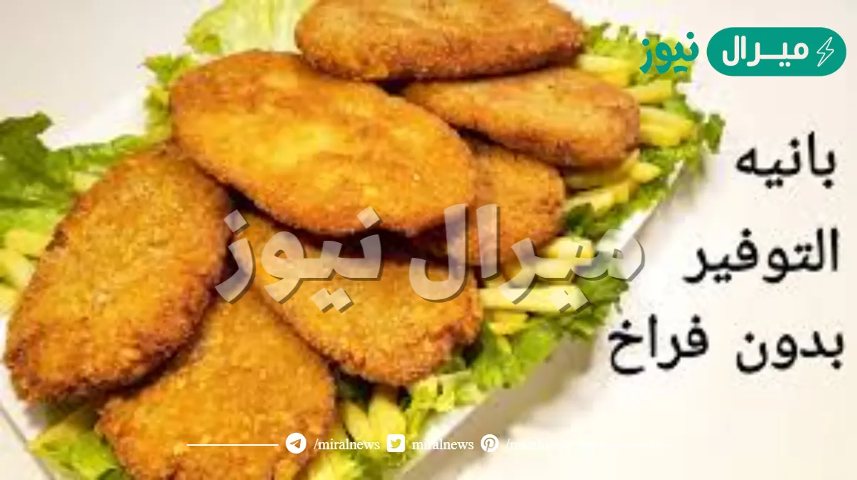 “ترند السوشيال ميديا” طريقة عمل البانيه الكداب بدون فراخ او بيض وفري فلوسك