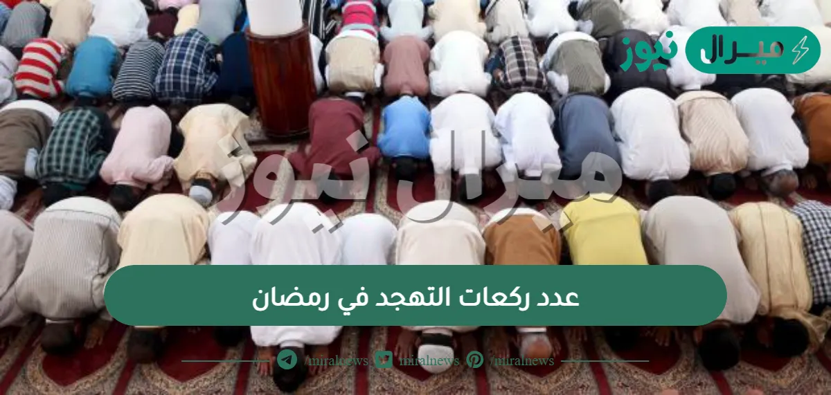 عدد ركعات التهجد في رمضان