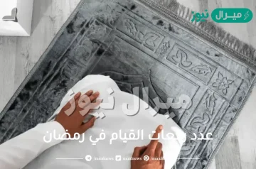 عدد ركعات القيام في رمضان