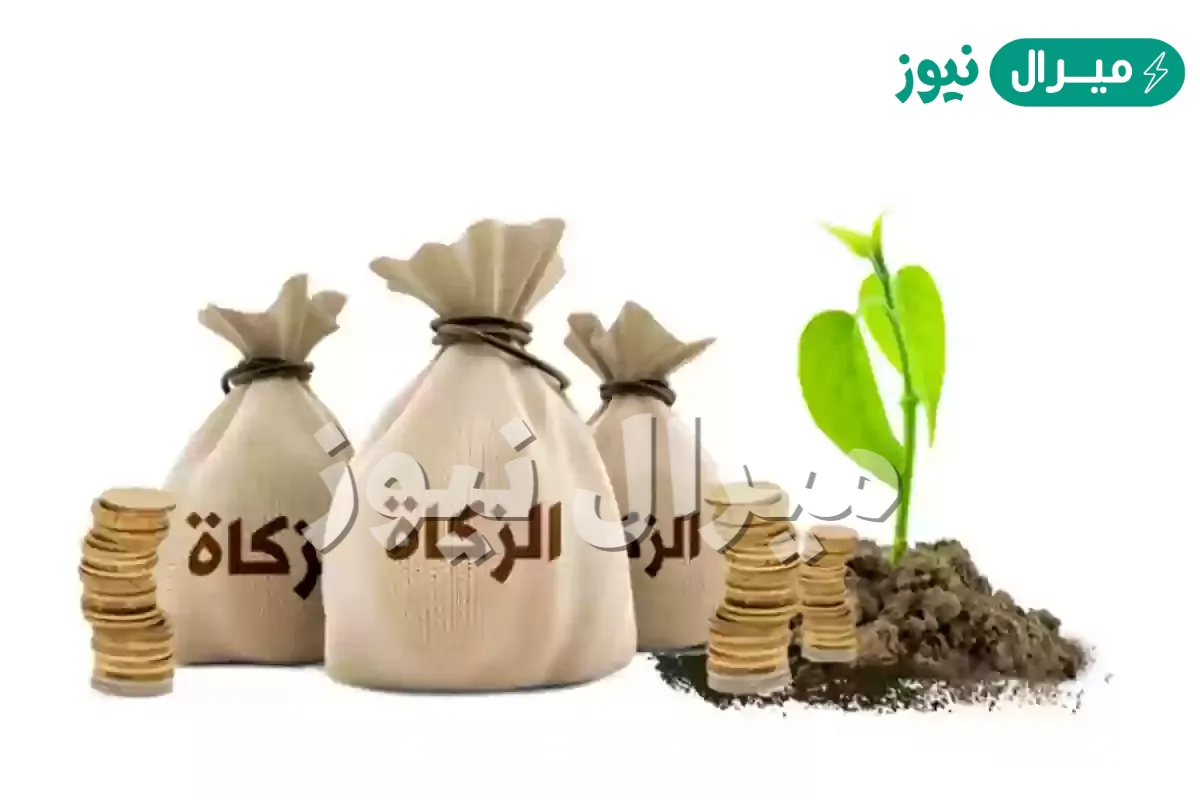 قيمة زكاة الفطر في السعودية .. كم مقدار زكاة الفطر في السعودية؟