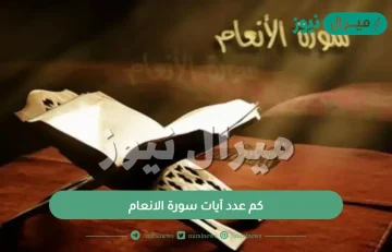 كم عدد آيات سورة الانعام