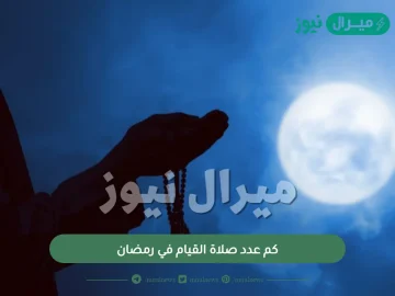 كم عدد صلاة القيام في رمضان