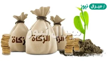 كم عدد مصارف الزكاة ؟