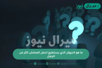 ما هو الحيوان الذي يستطيع تحمل العطش اكثر من الجمل