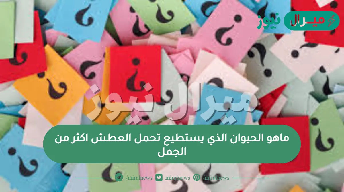 ماهو الحيوان الذي يستطيع تحمل العطش اكثر من الجمل