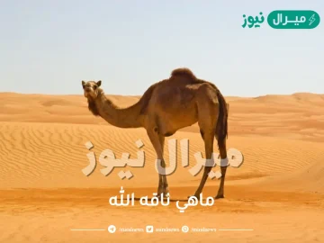 ماهي ناقه الله