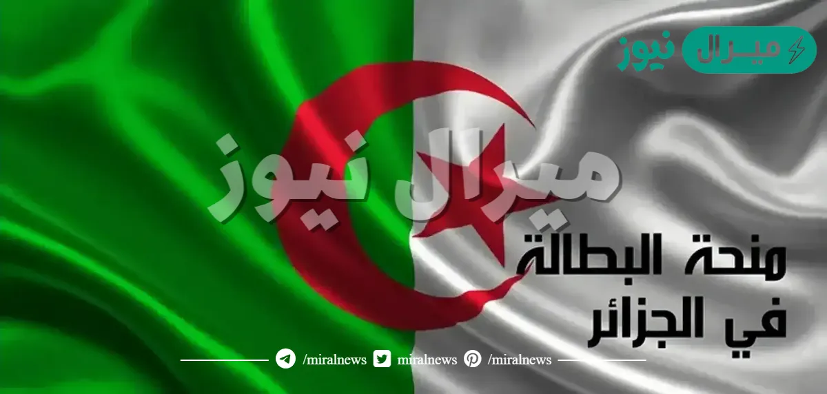 خطوات التقديم في منحة البطالة بالجزائر كل 6 شهور وأهم الشروط والأوراق المطلوبة