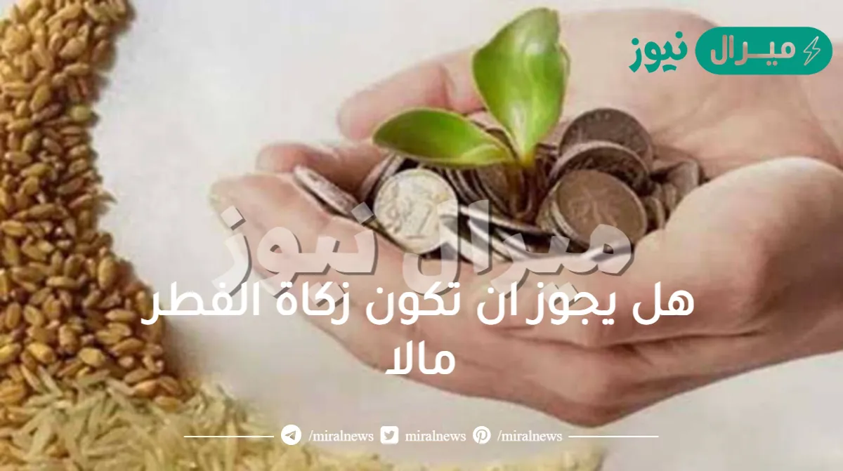 هل يجوز ان تكون زكاة الفطر مالا