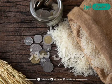 وزن زكاة الفطر من الأرز