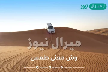 وش معنى طعس