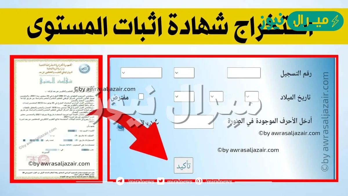 “استعلم بسيت مباشر”.. استخراج شهادة اثبات المستوى في الجزائر برقم التسجيل عبر inscriptic.onefd.edu.dz