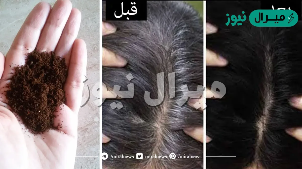 تعالي أقولي إزاي تستخدمي القهوة والحناء لتلوين شعرك والقضاء على الشيب