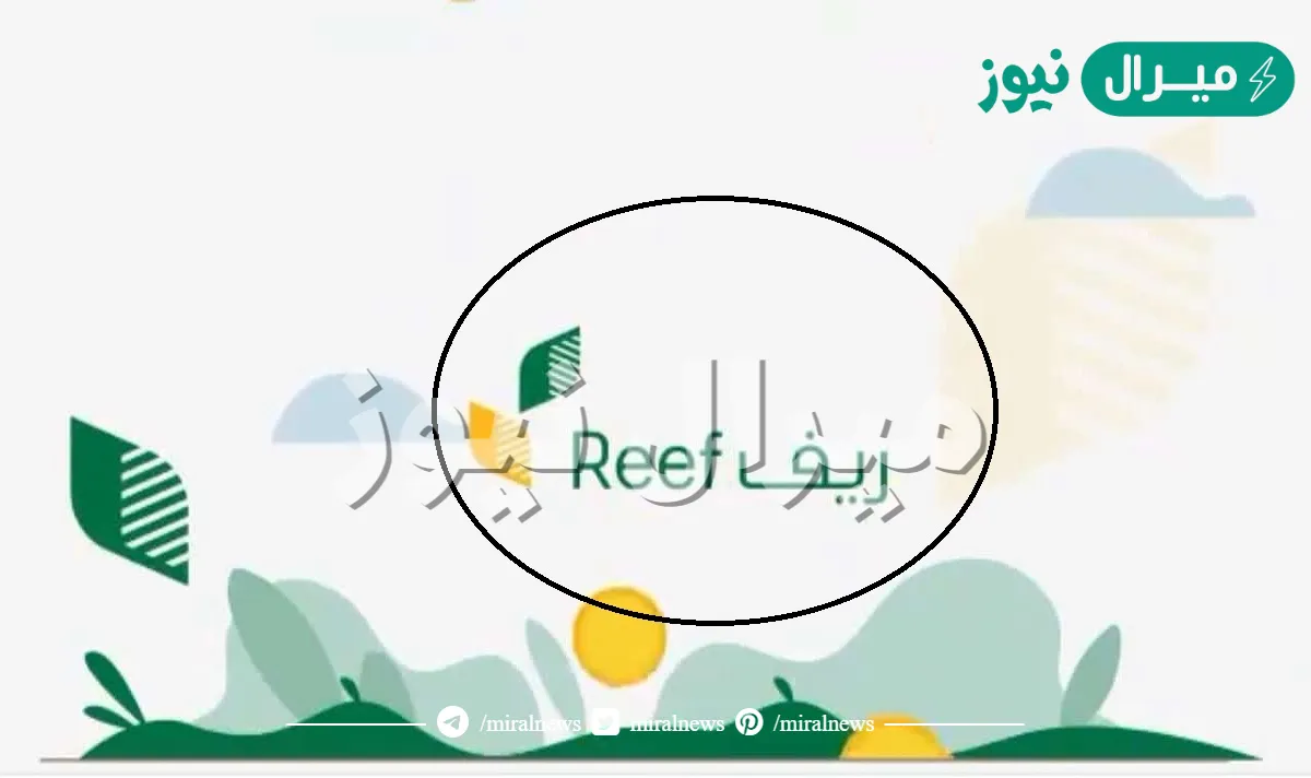 برنامج ريف دعم حكومي للنساء ربات البيوت .. وزارة البيئة توضح
